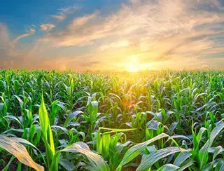 agricultural banking